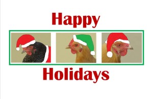 Xmas card with chickens
