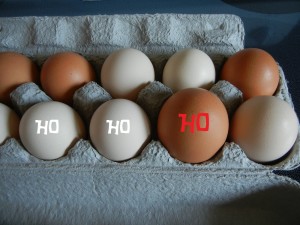Cartoon of eggs